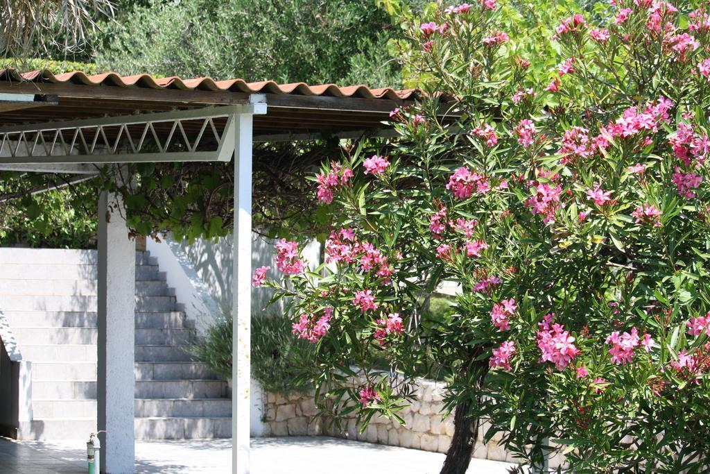 Vila Stosic Razanac Exterior photo